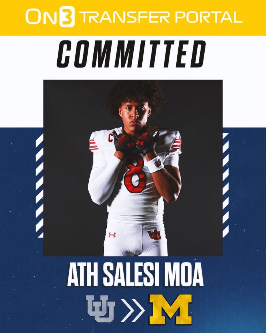 〽️ichelle 🌹 tweet media