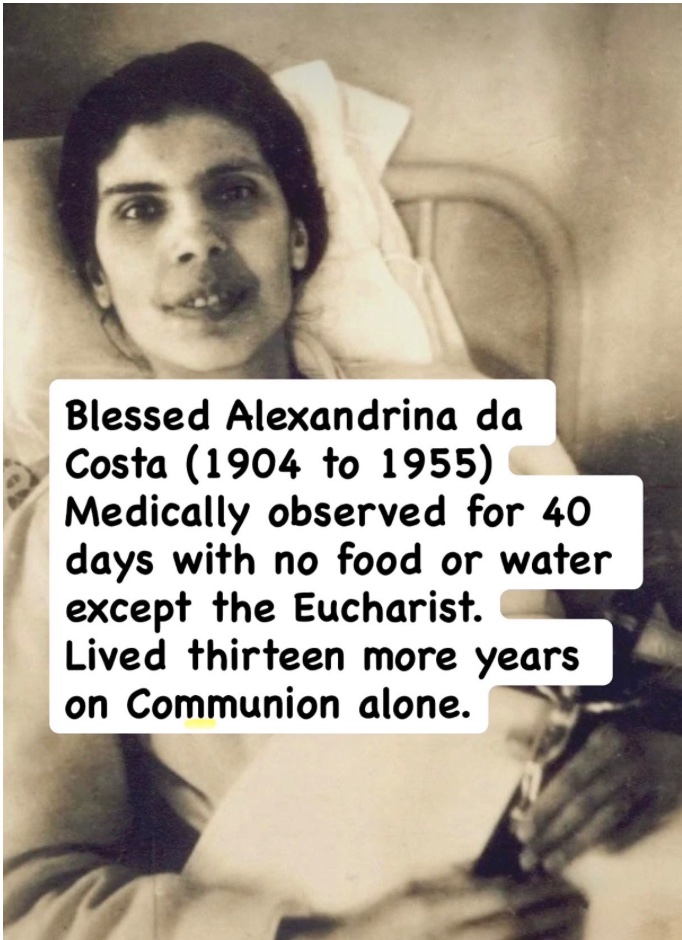 Catholic_bro's tweet image. Our daily Bread