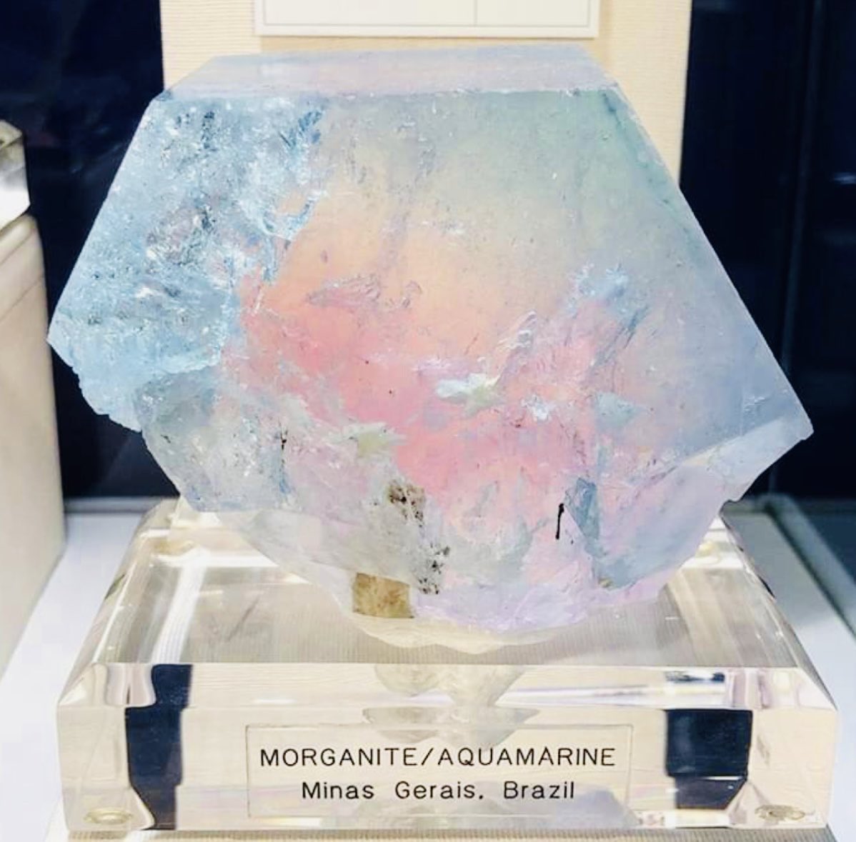 Elle Lookbook tweet media