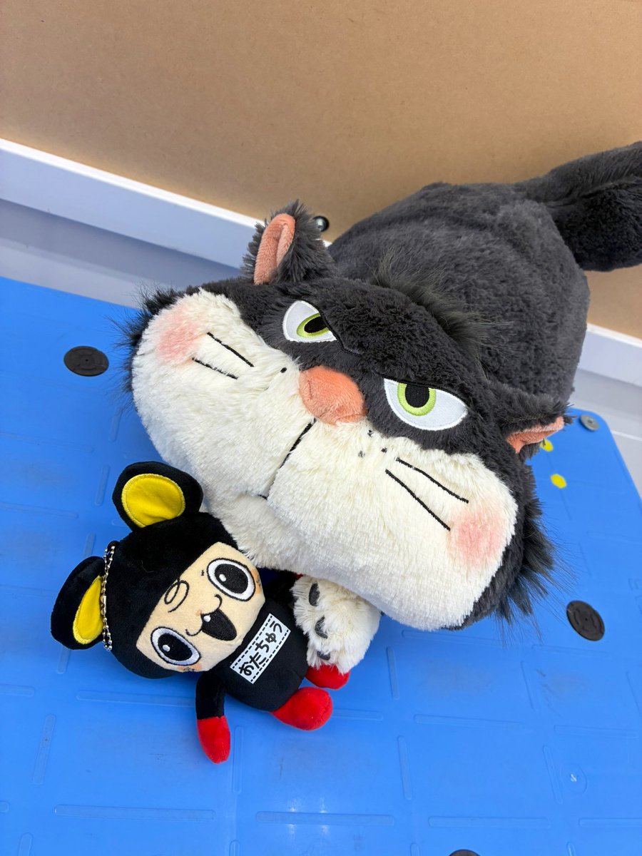 ⭐️景品入荷情報⭐️ ルシファー 寝そべり なでなでしてね 超BIG