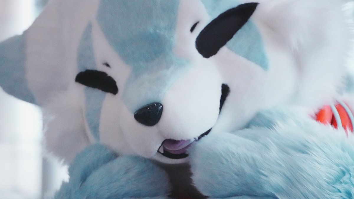 フェテナくん！！
可愛すぎて………

可愛いっ！！