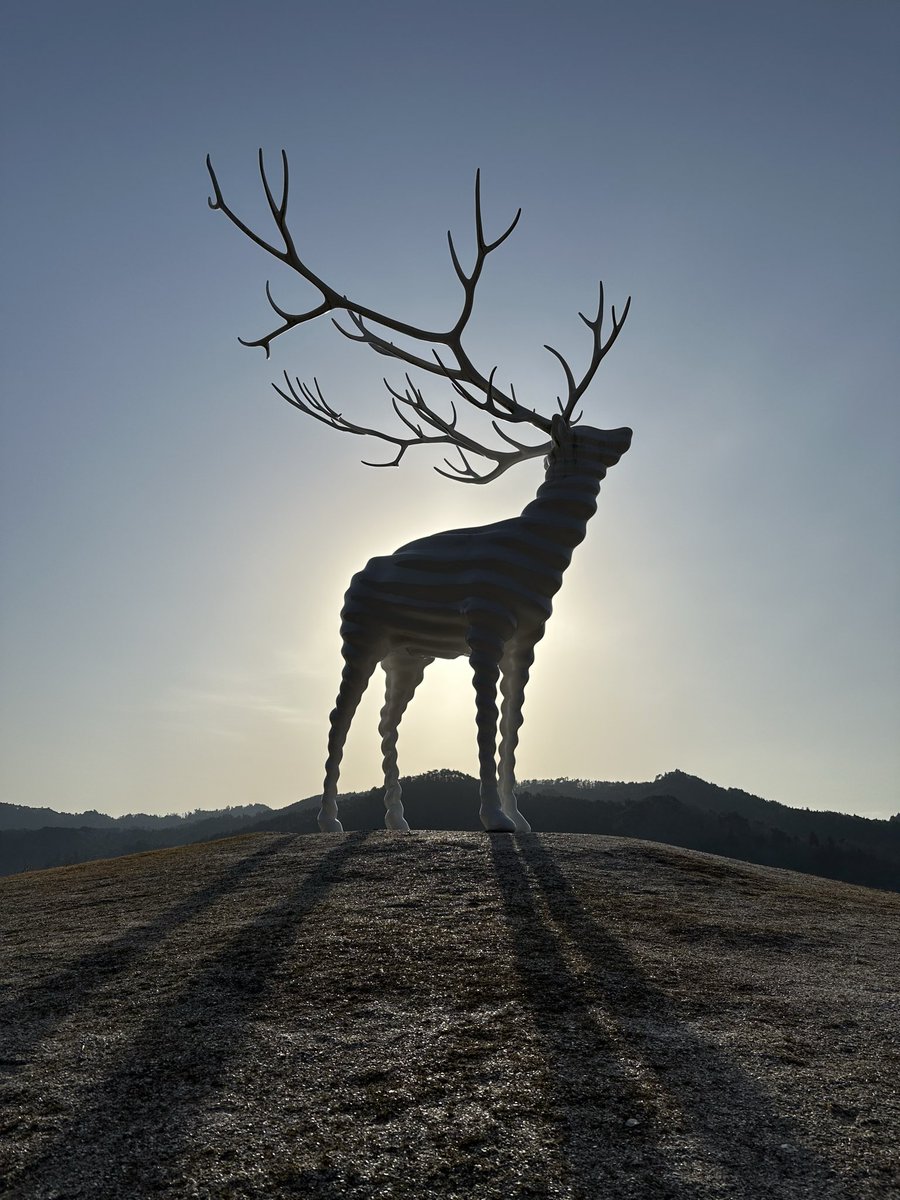 サカナは見れずシカを見に

#White Deer (Oshika) 
#Reborn-Art Festival