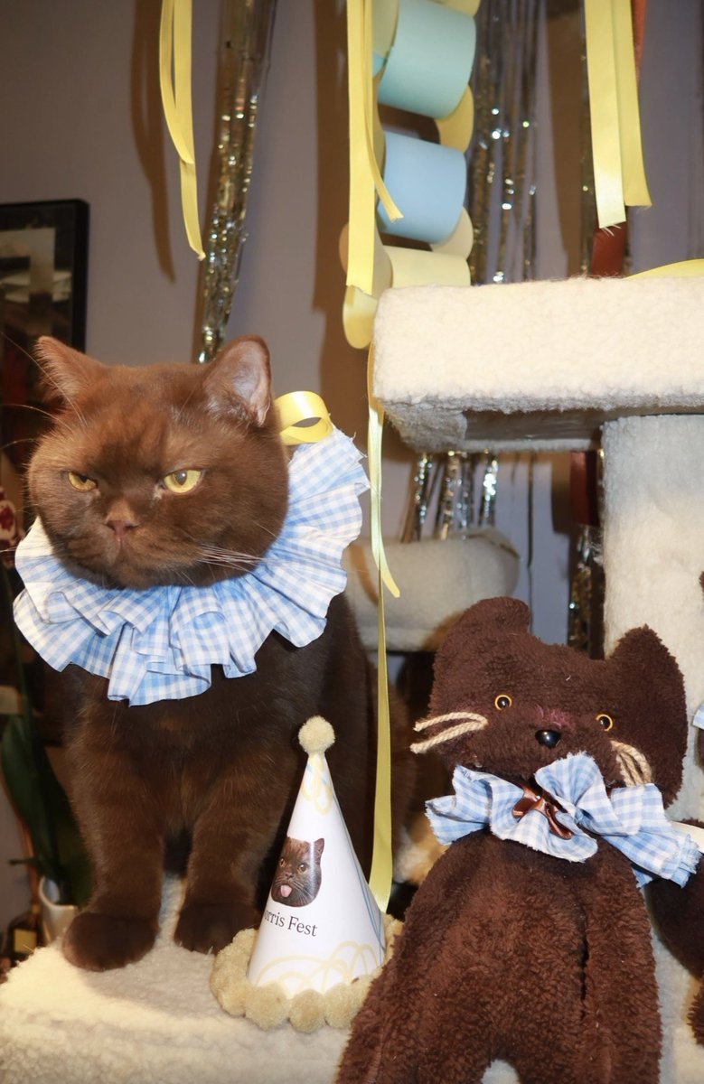 Karime Updates tweet media