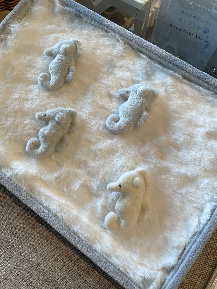 collonuinui's tweet image. 【在庫状況です】
・タツノオトシゴ4点
・かどりぃくま1点
・かどりぃくま用襟9点
・アクリルキーホルダーは大量にあります！
他のぬいぐるみとステッカーは売り切れです🙇