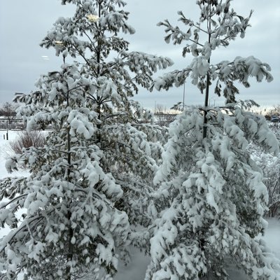 Erin tweet media