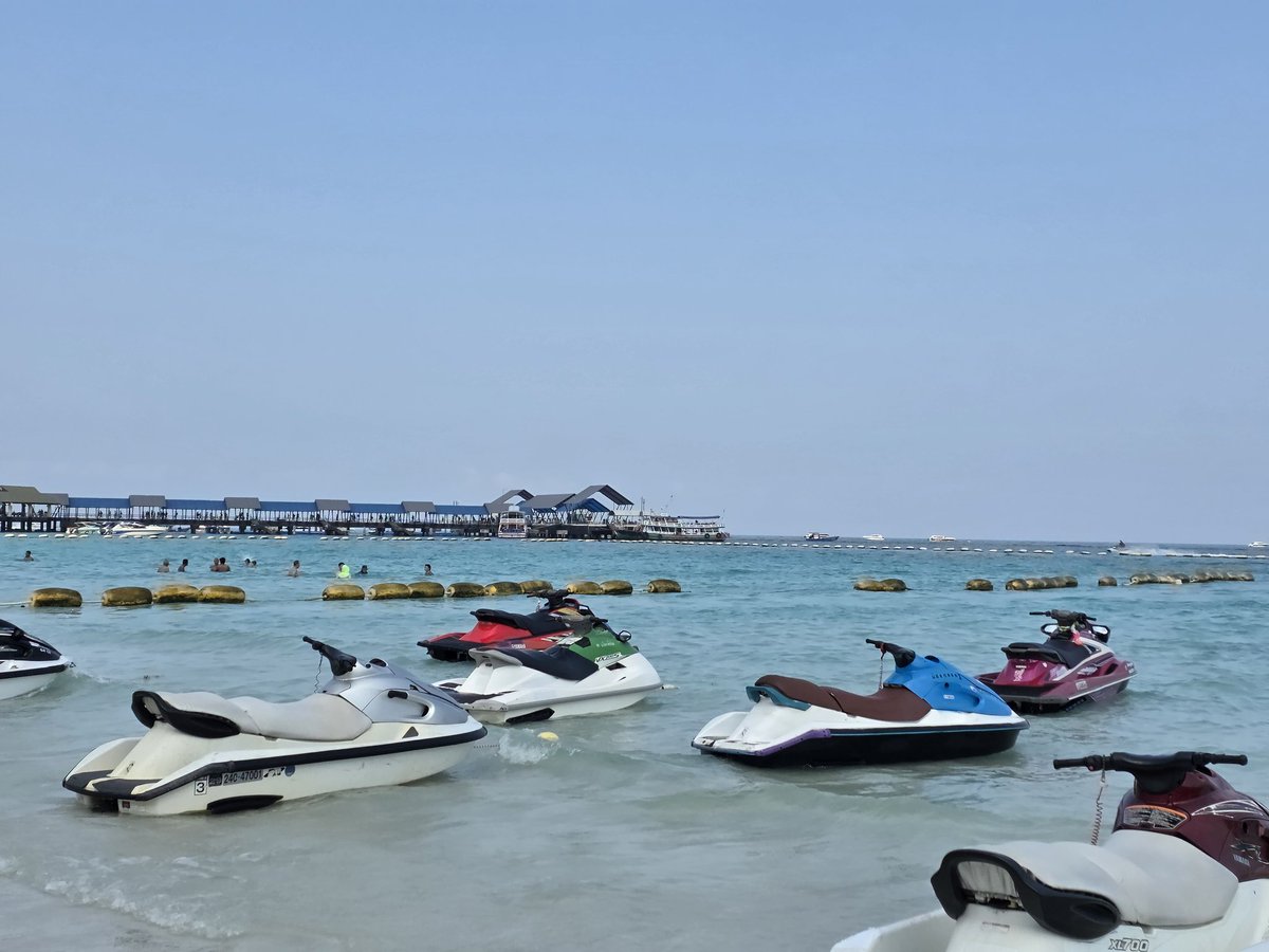 ton-cherry tweet media