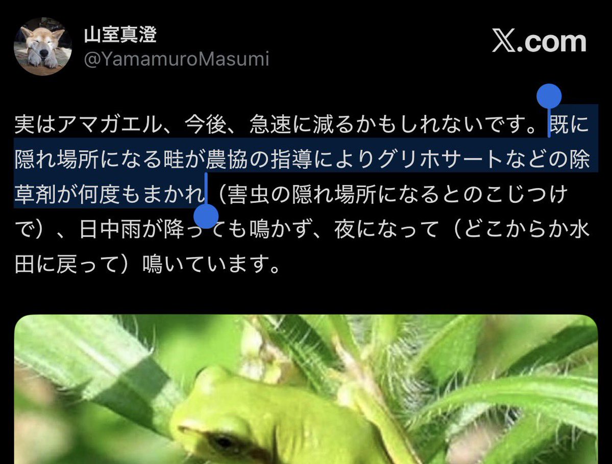 今見たんですが出典にグリホサートのグの字もないですね。根拠が乏しいのはどちらか、今一度お答え頂きたいものです。<a href="/YamamuroMasumi/">山室真澄</a>