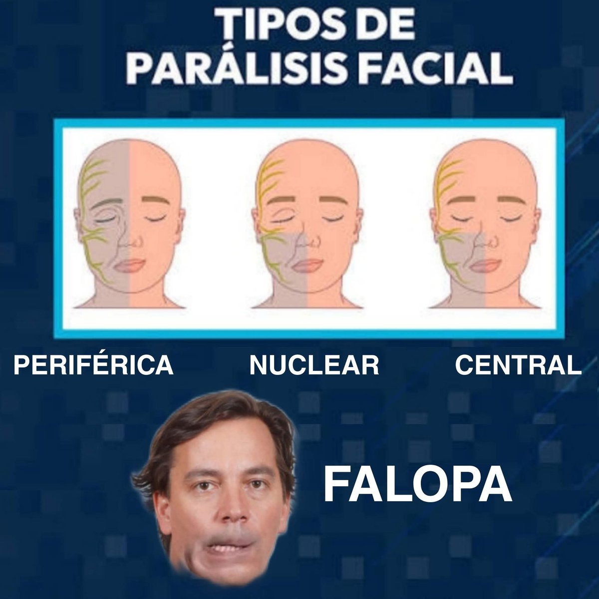 disidenteschile's tweet image. WAJAJAJAJ