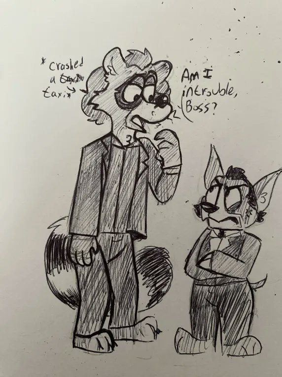Archen459's tweet photo. Jim as a raccoon and Louie as a chihuahua ^^ Jim crashed a cab #Taxisitcom #JimIgnatowski #LouieDePalma #furry #furrified #Anthropomorphic https://t.co/Gcm7XMXJWy