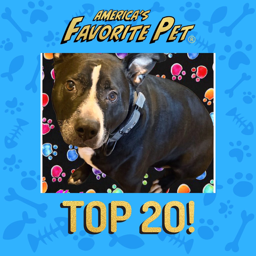 Dianna Woodbury tweet media