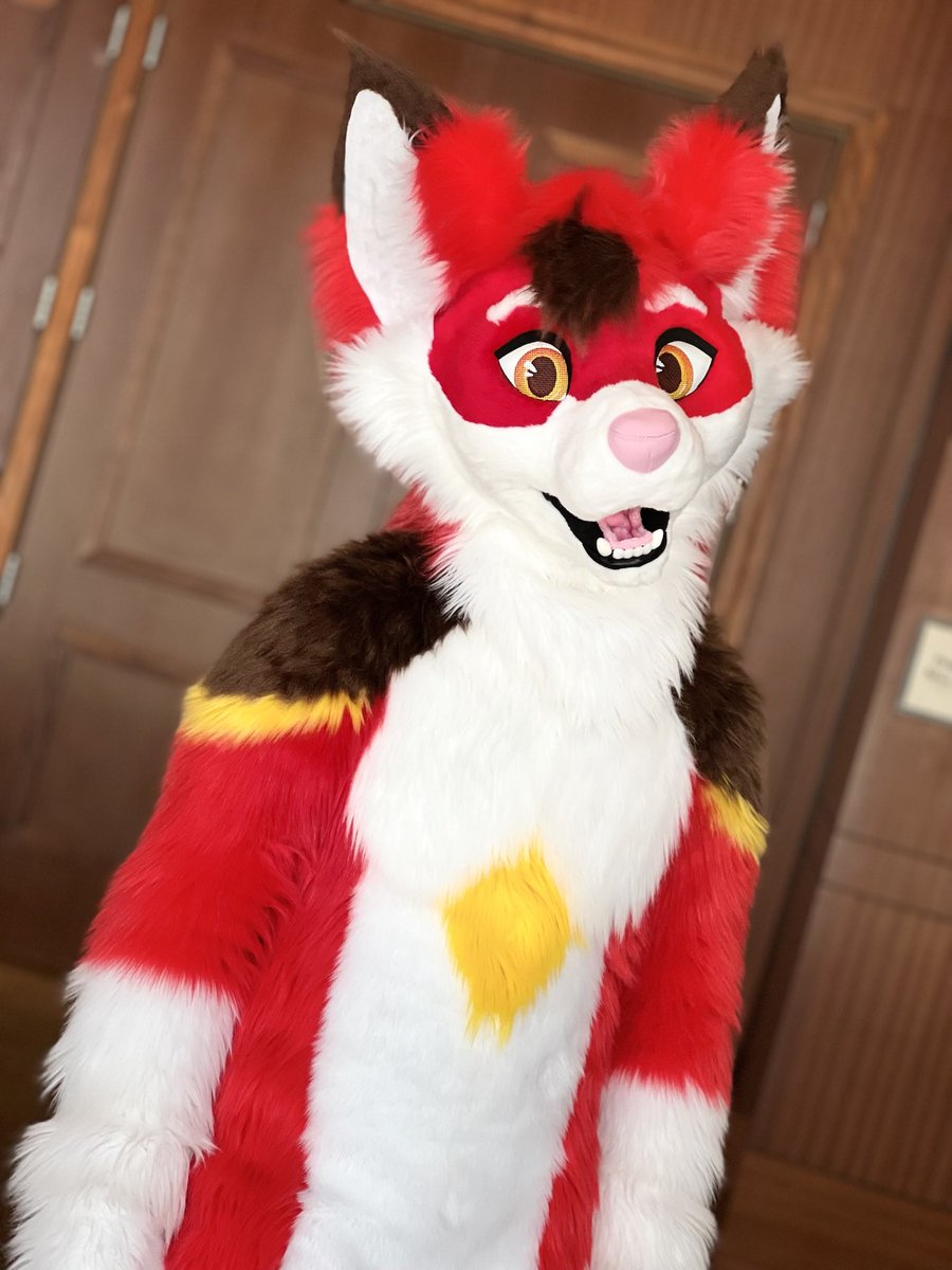 I’m just a cutie foxxo ❤️