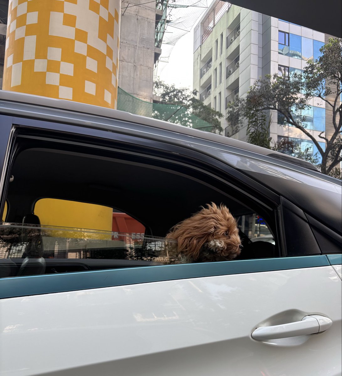 how your email finds me