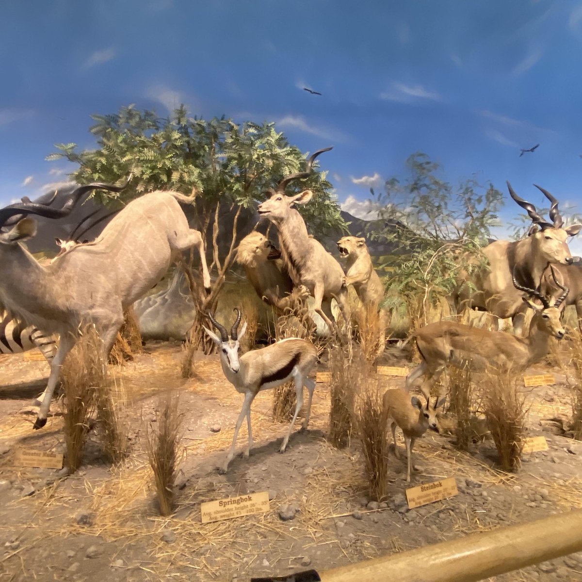 InterpolOOC's tweet image. GETTING READY                    TO MAKE HISTORY