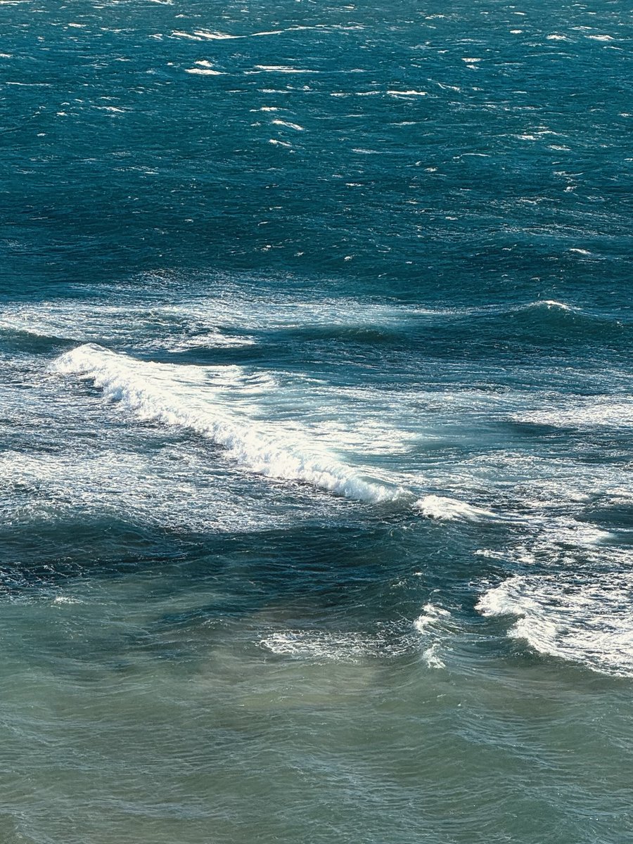 ☆人形遣いLUNEの独り言☆ tweet media