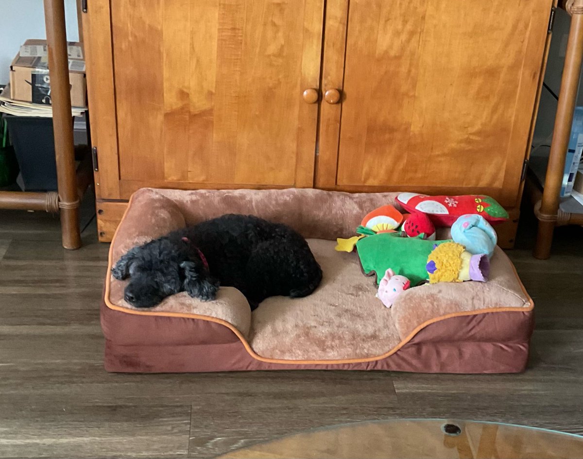 Alida Antonia tweet media