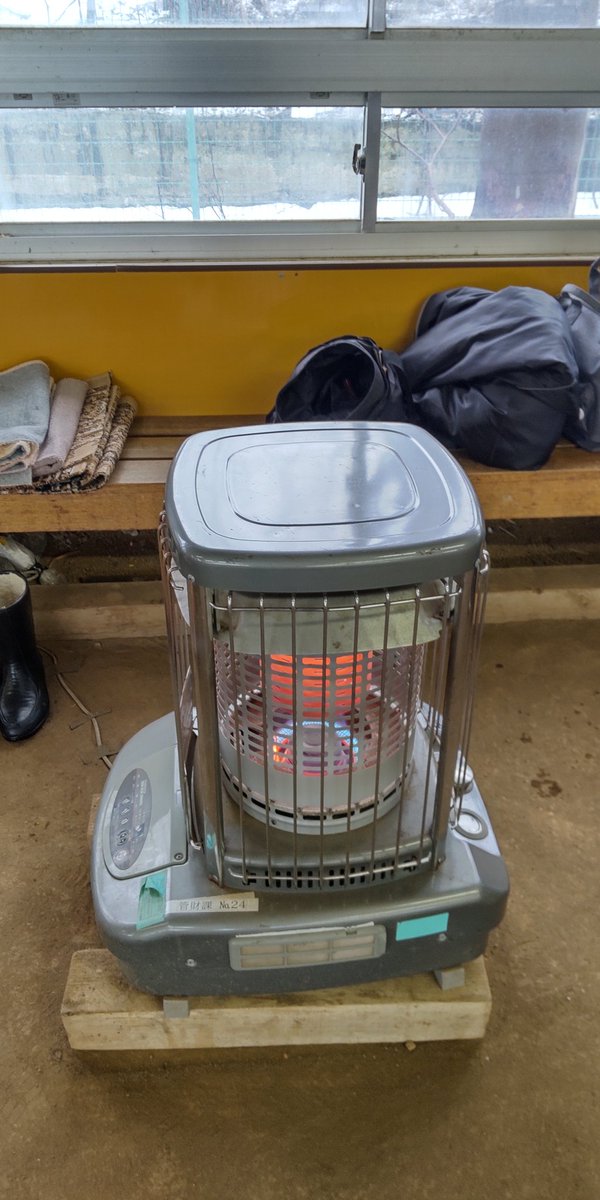 本日は、パパ'sサークルピーターパンさんと体験の方を含む11名で、モルックやってきました！
寒い中、ご参加をありがとうございました！
また、遊びにきてください！
#秋田市 #モルック