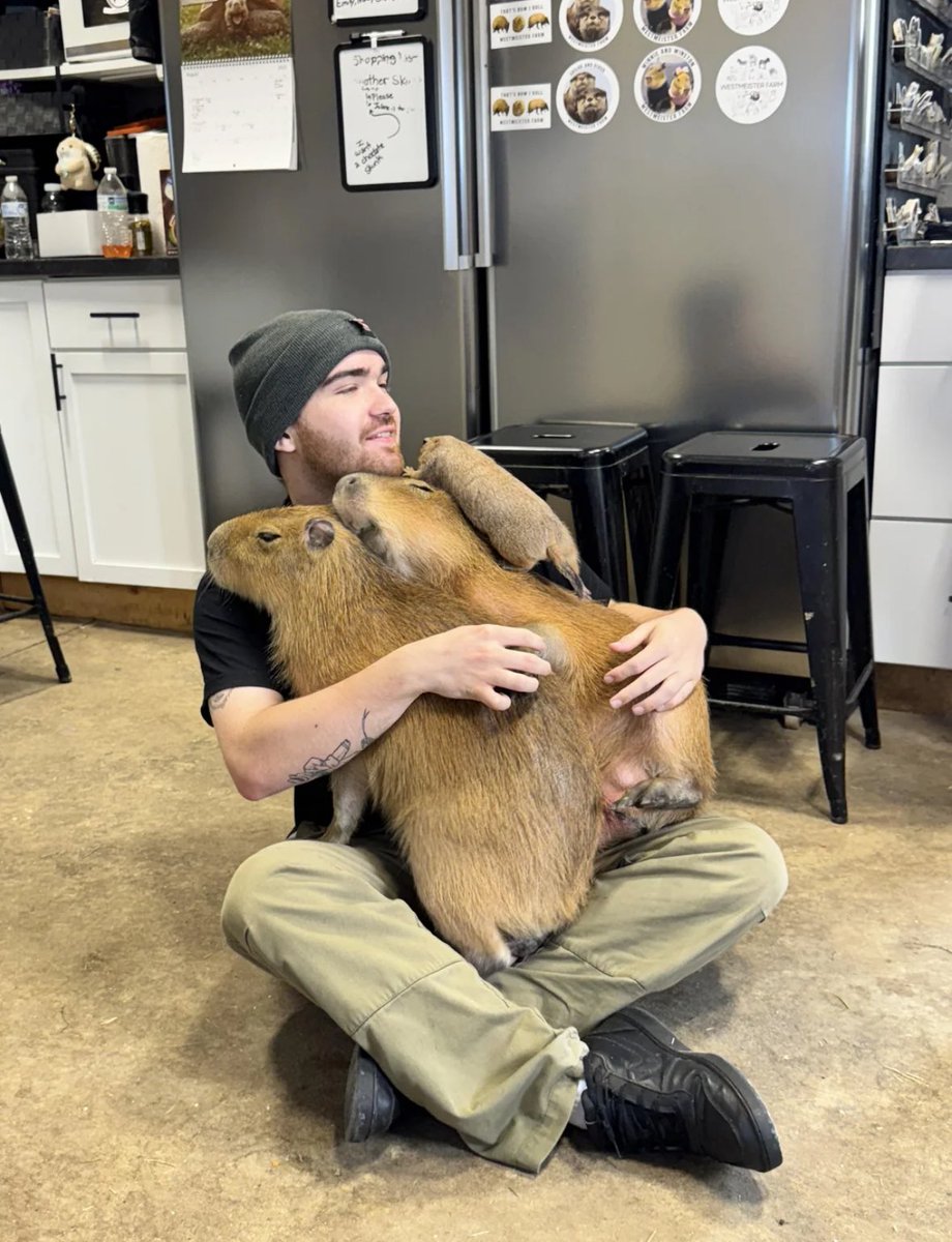 say what you want, but capybaras love me