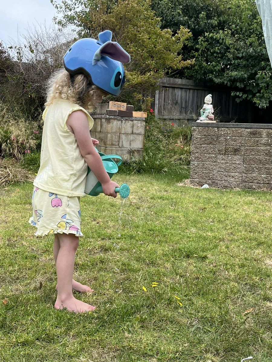 Bundogs's tweet photo. A future gardener in the making and Miss Bea has ticked off the 'appropriate' headwear component of gardening 😜 #whataunit #gnomesitesupervisor https://t.co/o5wI70lxBS