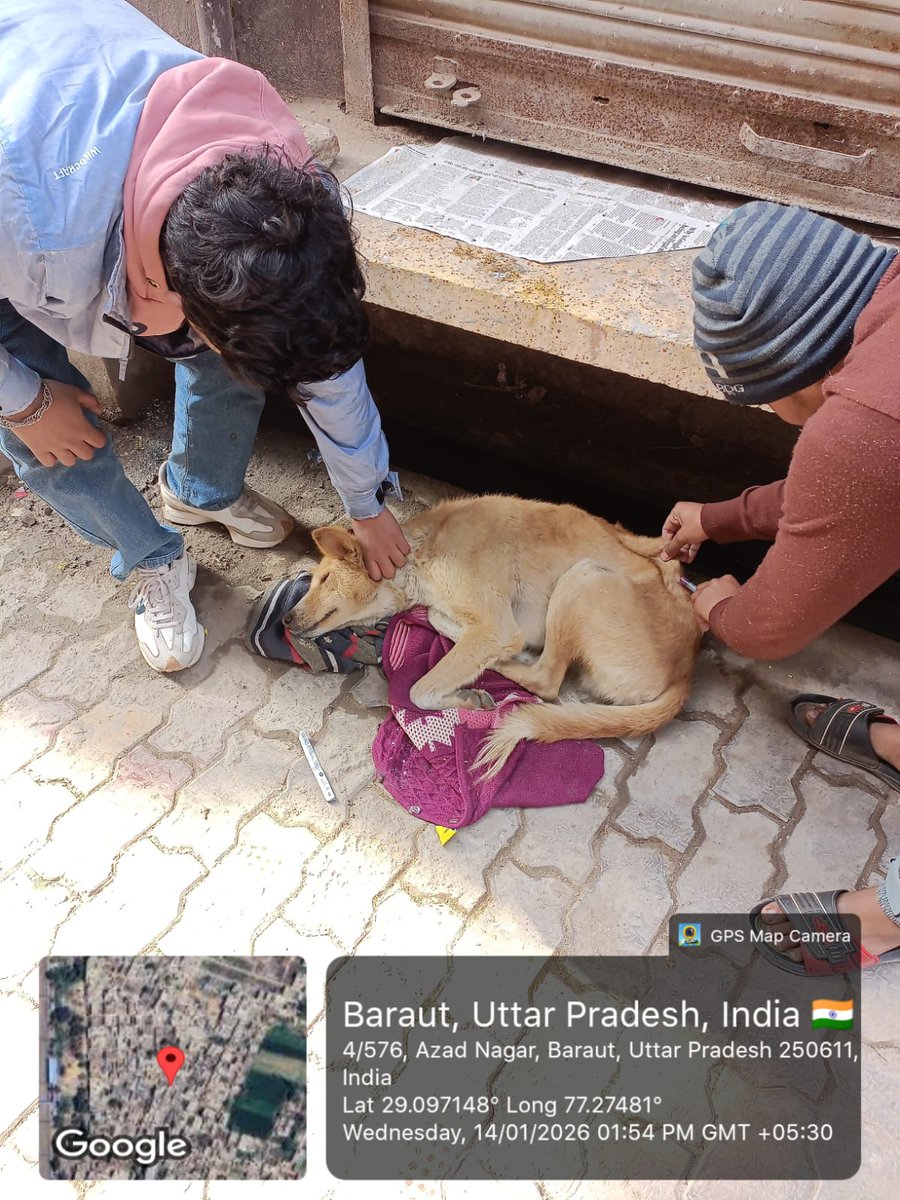 Animal Welfare Volunteers, Baghpat tweet media