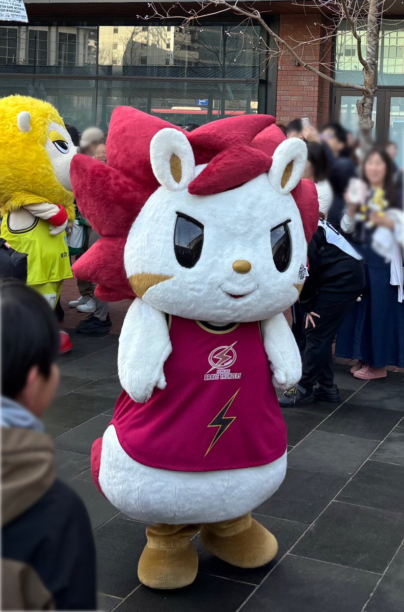 Bリーグマスコットたちのパレードやってた！ロウルもちもちでかわいいねー😍
#Bリーグオールスター