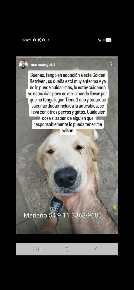 MariaIn77662119's tweet image. 