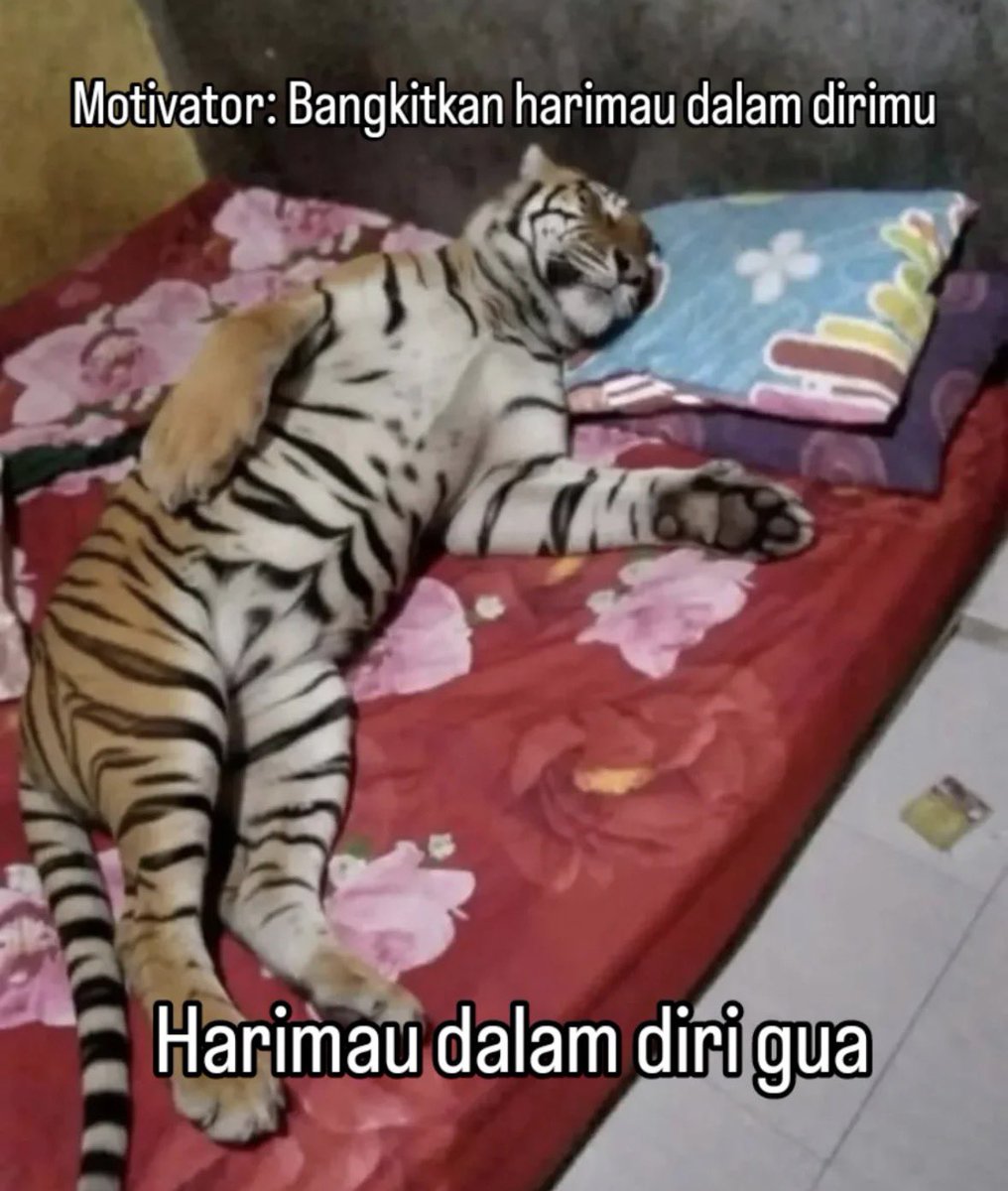 qrivasi's tweet image. 