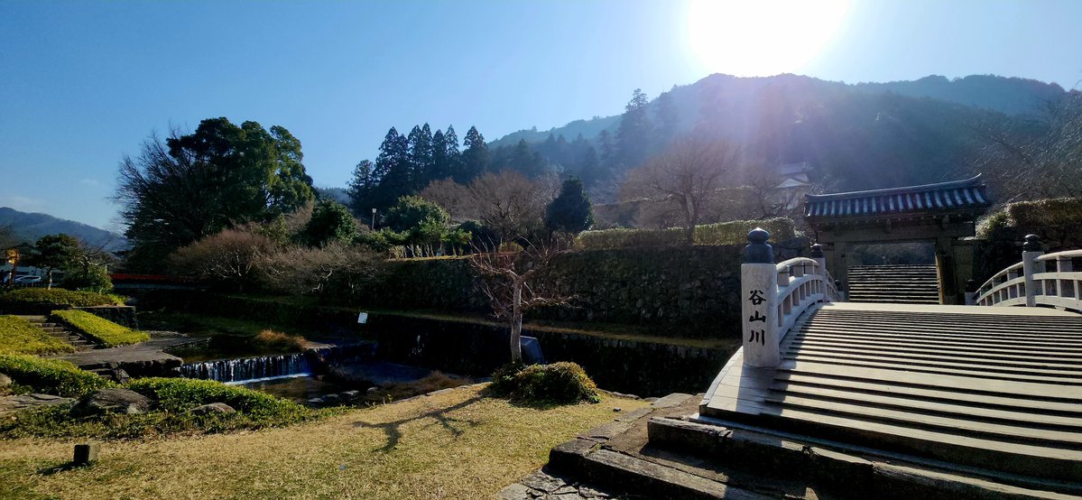 NovyyCat's tweet image. おしろ