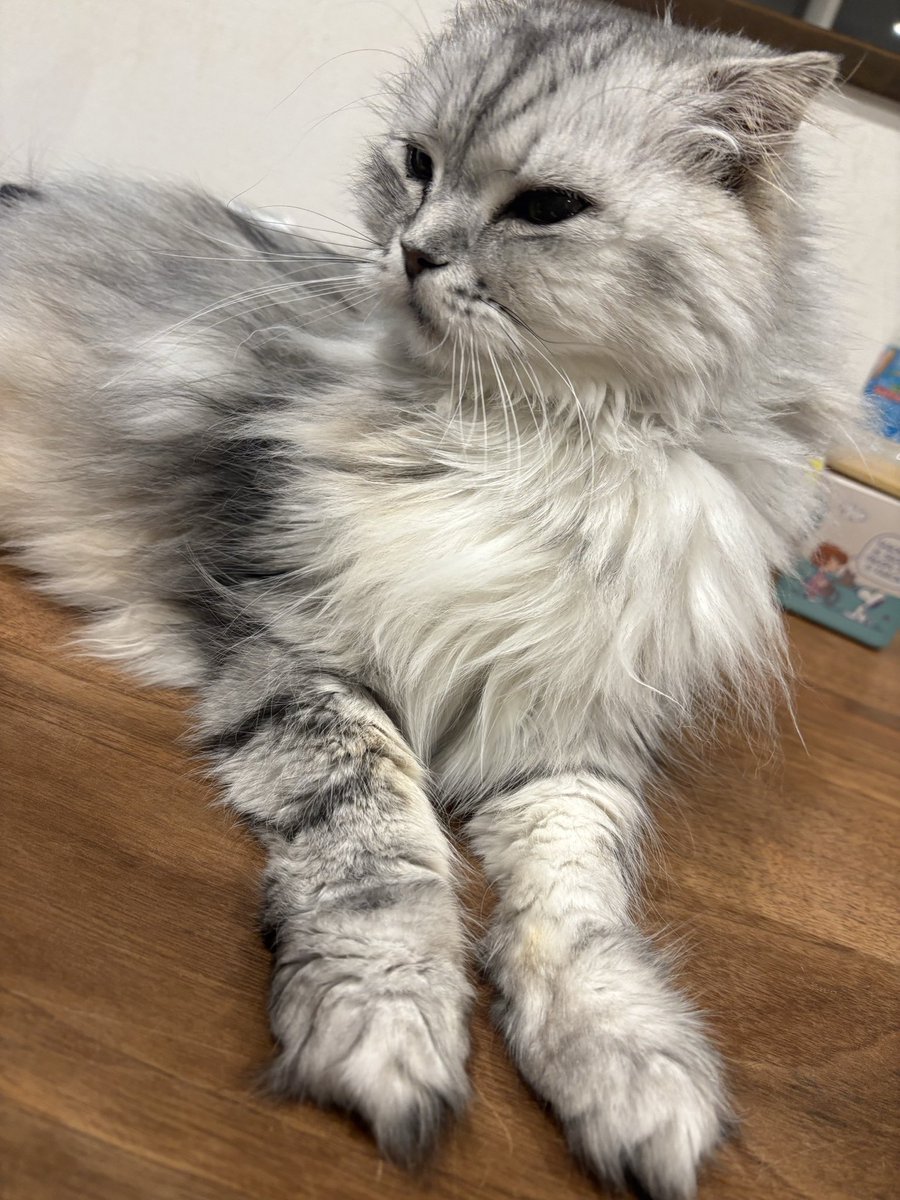 ヒデ🐈‍⬛ tweet media
