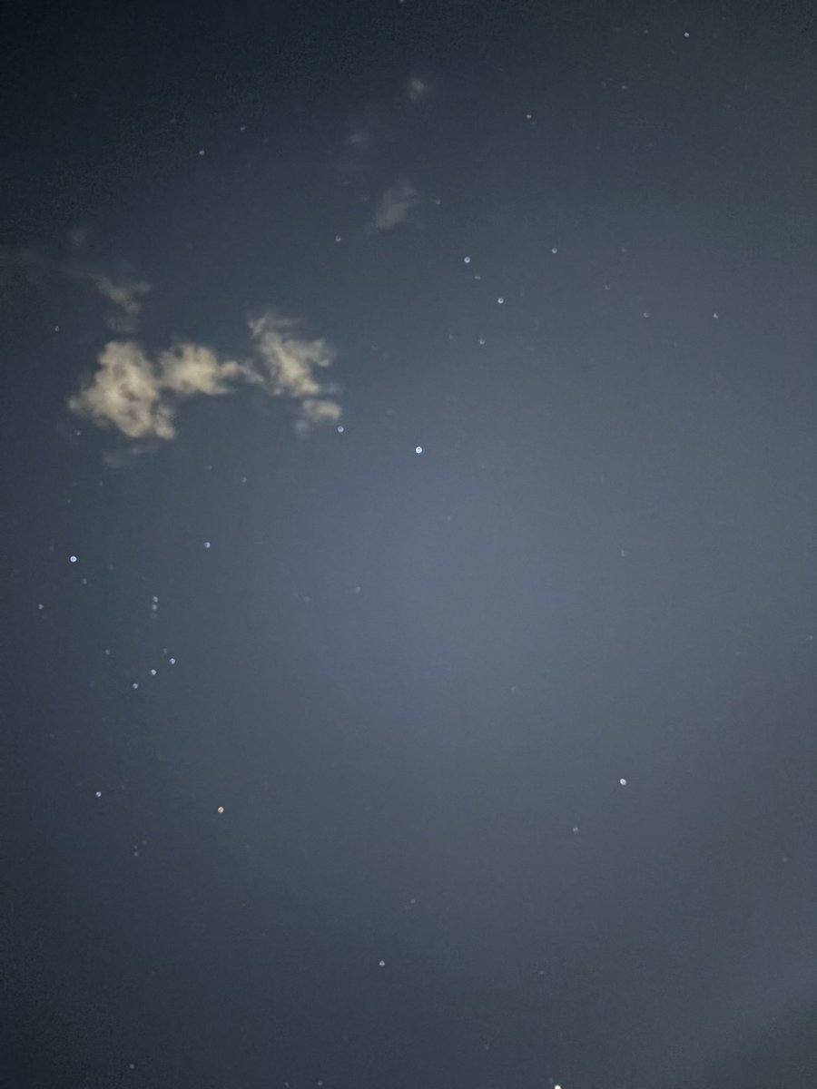 Macarena. (@maquiburon) on Twitter photo 