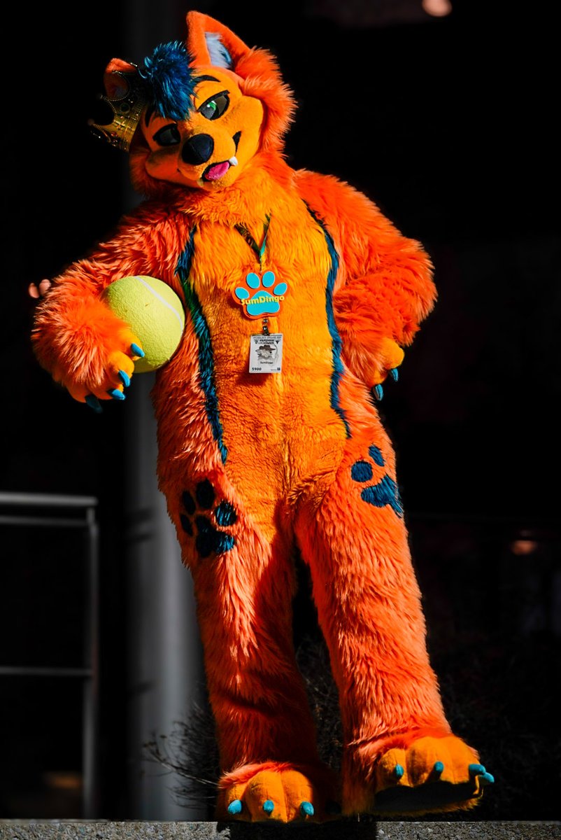 KichekoYeen tweet media