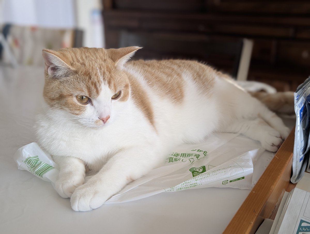 ともりん( ´ω`)つ🇯🇵 (@tomorin76) / Posts / X