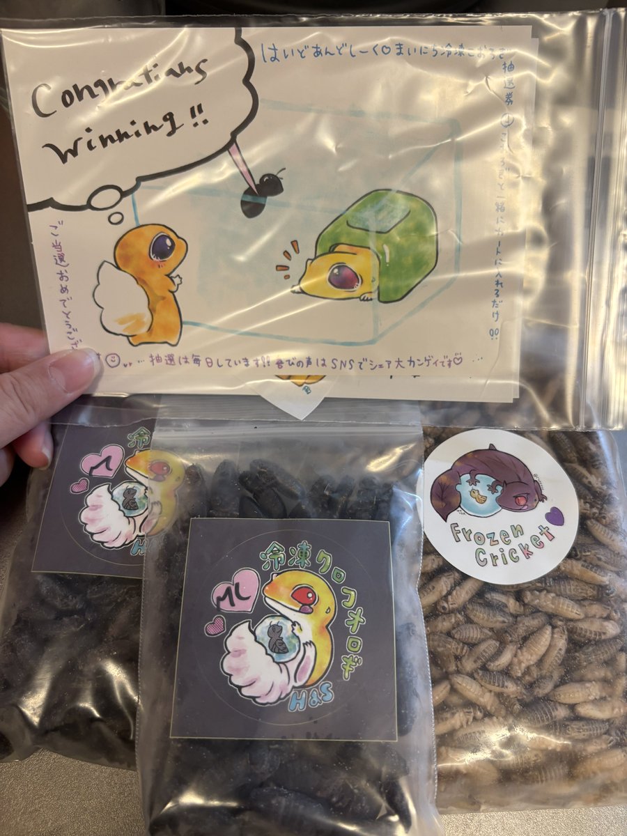 はいどあんどしーく.🎃エキゾ&えさやさん (@cagexxx) / Posts / X