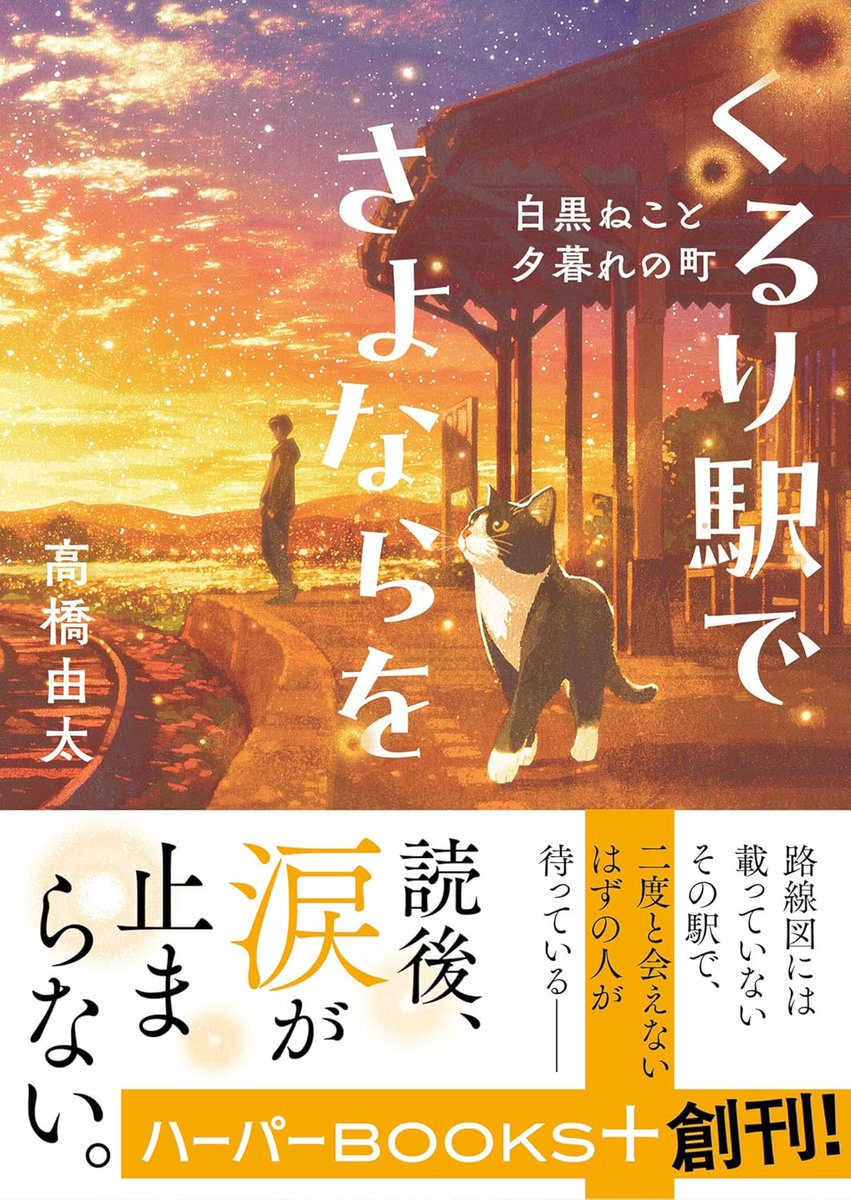 2月19日が誕生日なのですが、年をとって一番最初に読むのは、ねこ2と