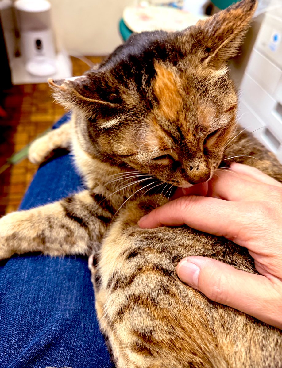 Duo_Lock's tweet image. 中々帰らせてもらえない