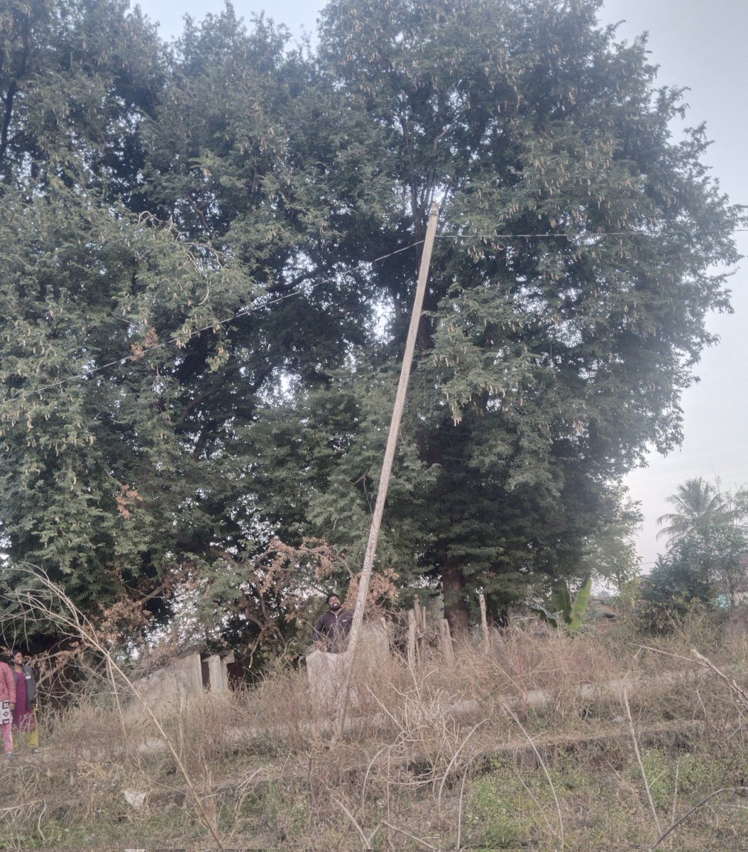 MDSunani's tweet photo. ବିପଦକୁ ଡାକୁଛି ବିଦ୍ୟୁତ ଖୁଣ୍ଟ 
ଖଡ଼ିଆଳ ବ୍ଳକ ଦାବରୀ ଗ୍ରାମ ପଞ୍ଚାୟତ କୋଦାଲ ଡୋଙ୍ଗରି ଗ୍ରାମରେ ଦୀର୍ଘ ଦିନରୁ ଏହି ବିଦ୍ୟୁତ ଖୁଣ୍ଟ ବିପଦ ସଂକୁଳ ଅବସ୍ଥାରେ ଝୁଲି ରହିଛି l ଏହି ଖୁଣ୍ଟ କେତେବେଳେ ଭାଙ୍ଗି ପଡିବ କିଛି କୁହାଯାଇ ପରିବ ନାହିଁ l ଦୟାକରି ଏହି ବିଦ୍ୟୁତ ଖୁଣ୍ଟ କୁ ପରିବର୍ତ୍ତନ କରିବା ପାଇଁ ଅନୁରୋଧ 
@TPWesternOdisha https://t.co/Ba6HryCgJ5
