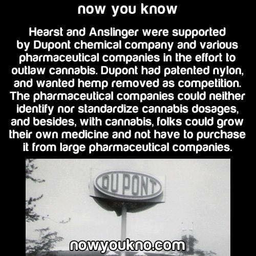 IgnacioCann's tweet photo. @MonkFunkSeeds @kristo279 Timber lobby?
As in some kind of organized patronal for Redwood pulp paper interests across North America?
Rather than Hearst's Con. solitarily printing #FAKENEWS Yellow(ing)press
+maybe few forestalLandOwners backing.
Cartel? What cartel?
I'd bet on standard oil umbrella https://t.co/UQvV39Ajma