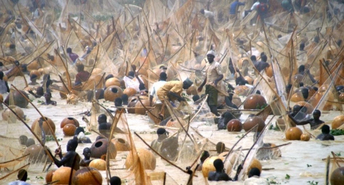 NigeriaStories's tweet image. BREAKING NEWS: The Kebbi State Government has announced February 11 to 14 as the dates for the Argungu International Fishing Festival.