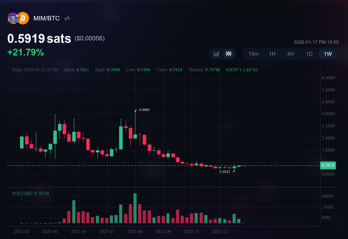 Toshi Stackamoto tweet media