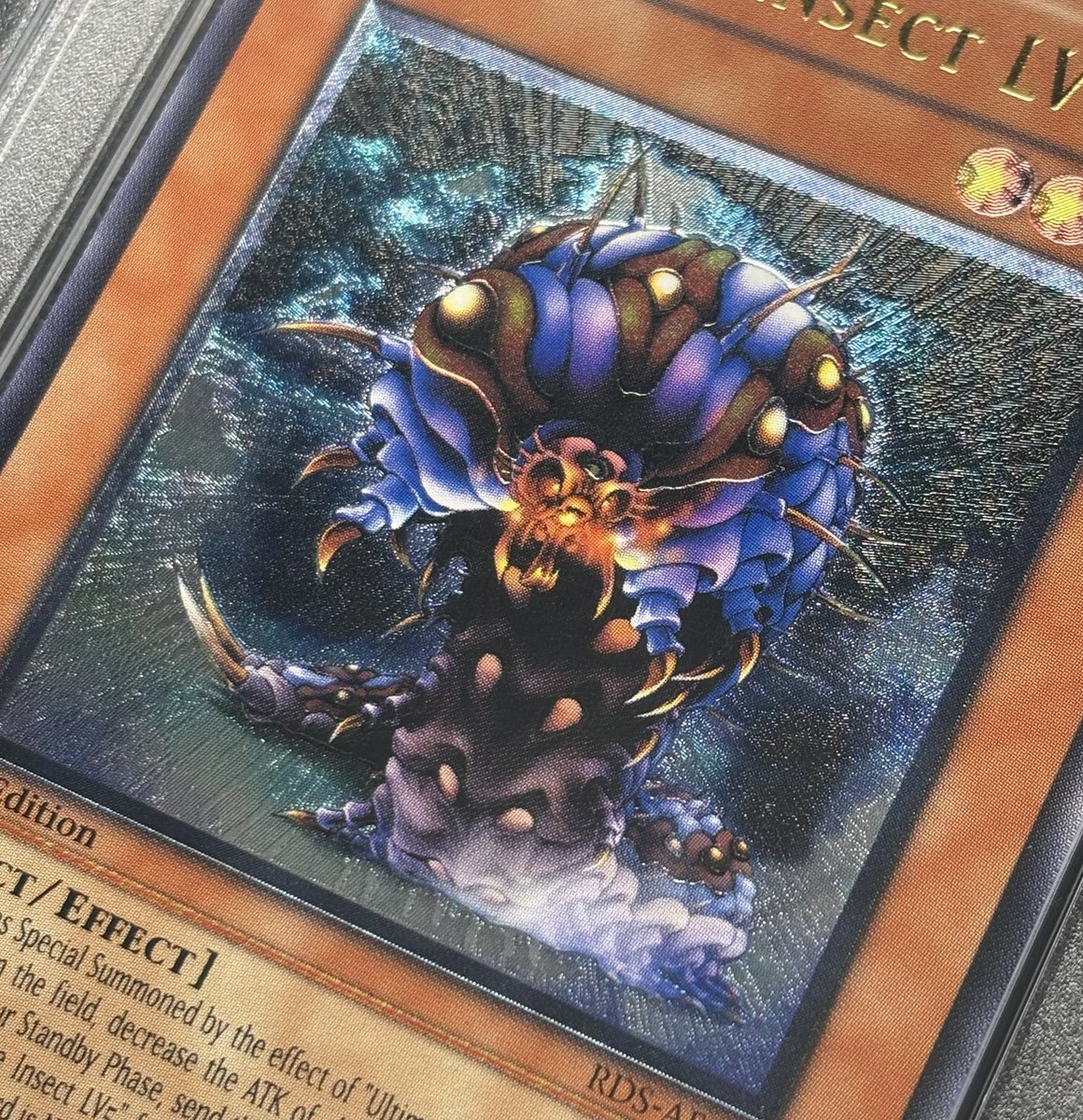 アドレナリン日本橋店 商品紹介📢】 PSA10 旧アジア アルティメット