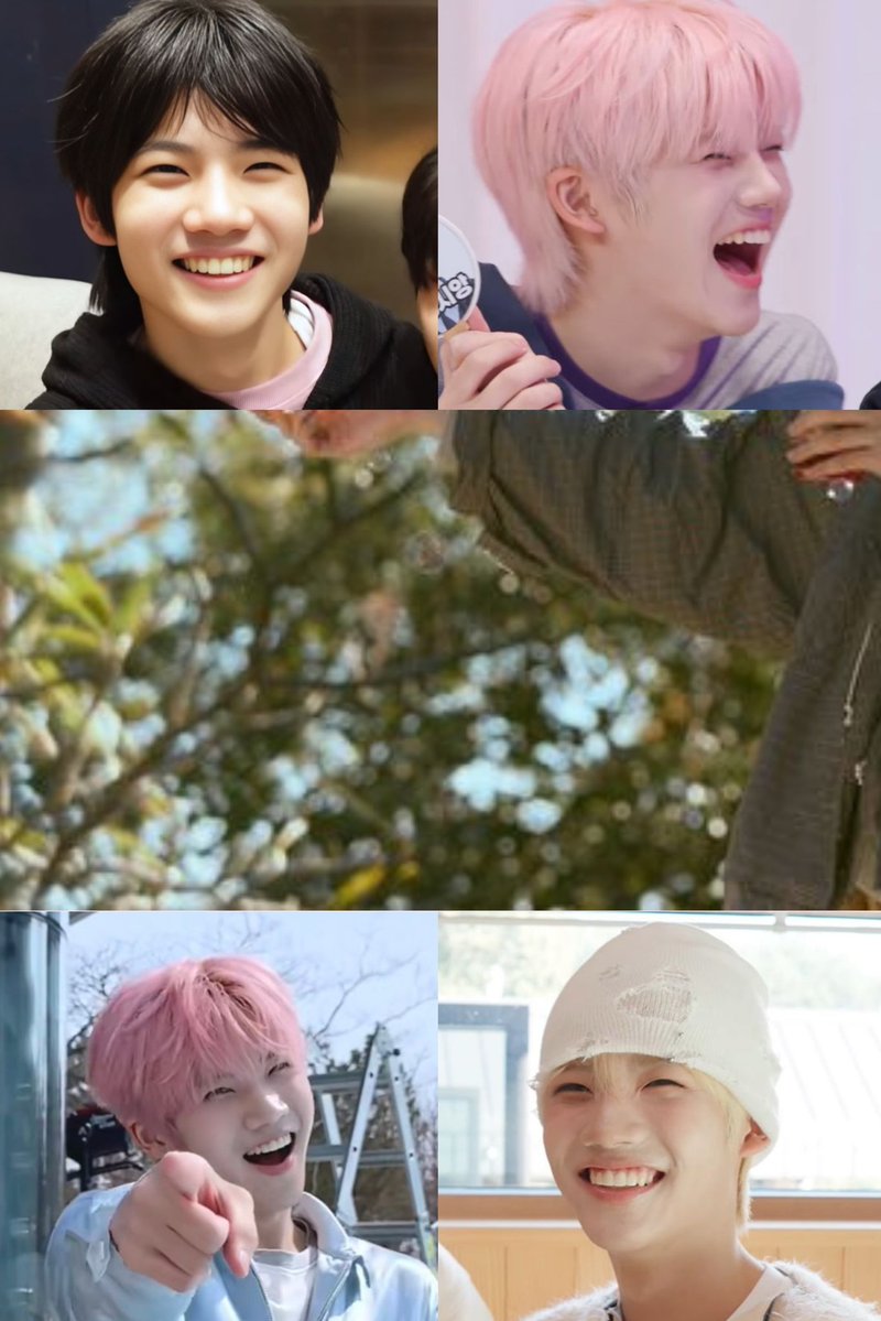 _kenshine's tweet image. Tap the photos if you need a smile 🌸🍃