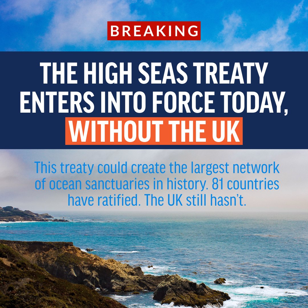 OceanaUK's tweet photo. 🚨 BREAKING: The High Seas Treaty enters into force today – without the UK 🌊

81 countries have ratified. The UK still hasn’t.

This treaty could create the largest network of ocean sanctuaries in history – but delays risk locking the UK out of the first Ocean COP ⏳

No more excuses. Ratify the #HighSeasTreaty now. 🌍✊