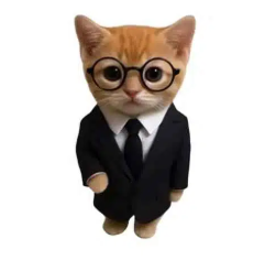 P0M_DEV's tweet image. Good narrative — no bond yet. Let’s fix that and build this coin together.