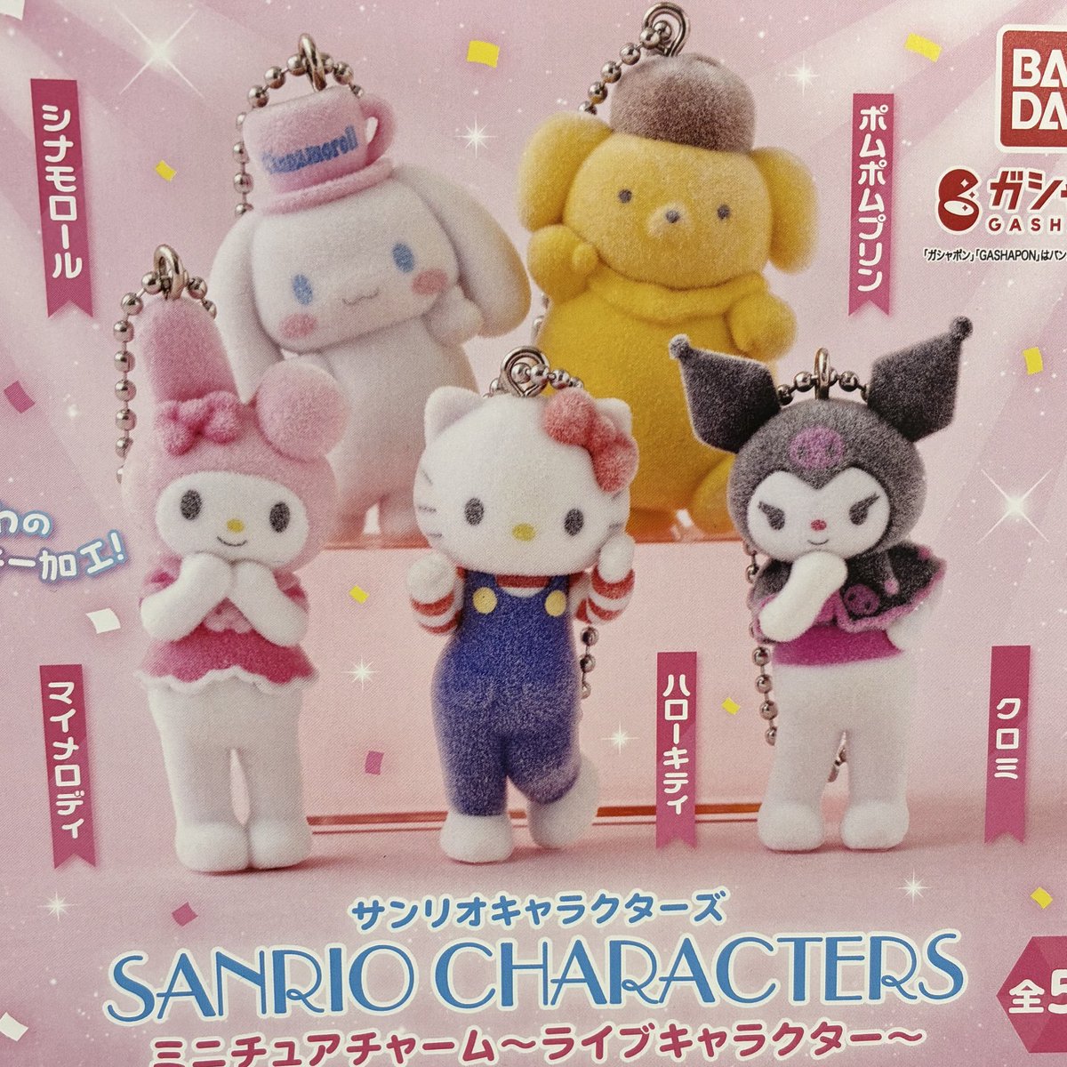 🌟1月17日(土)完売情報🌟 🩵サンリオキャラクターズ ミニチュア