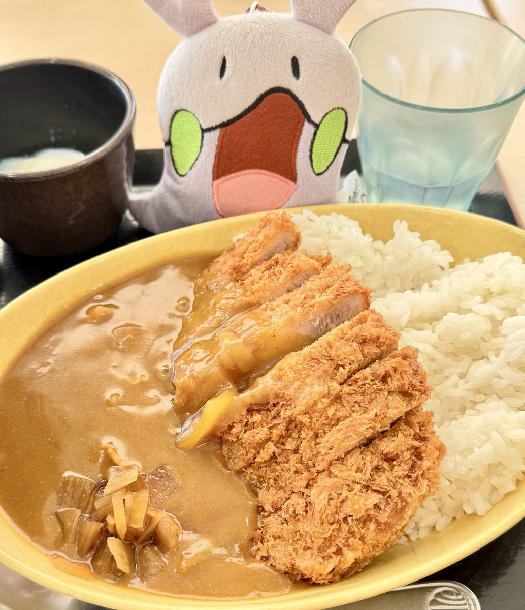 ガッツリめにカツカレーだよヌメラ