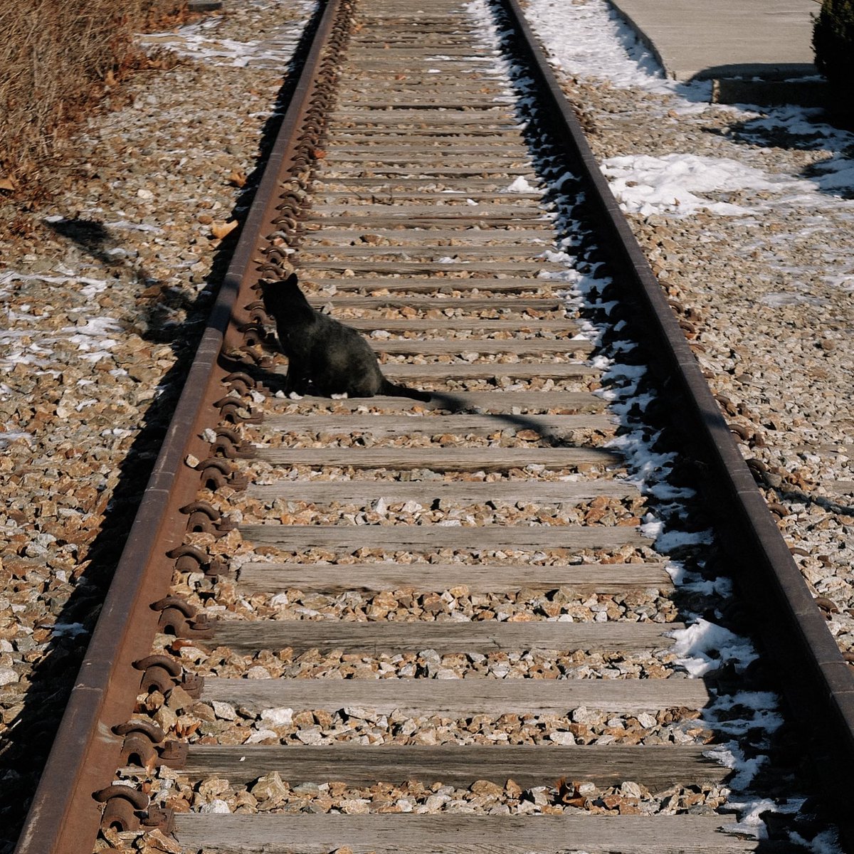 serenademeanie's tweet image. meng kicik dipotoin sm meng besar