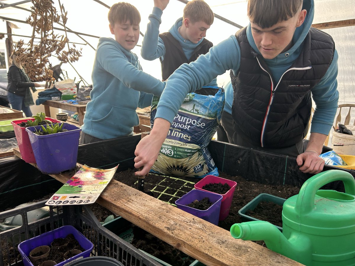 TidyBelmullet's tweet photo. Some planting of seeds and cuttings for the new year 2026😊
#planting #Students #planning #seeds #cuttings #biodversity #substanability #community #workingtogether https://t.co/8eb9UCcfPu