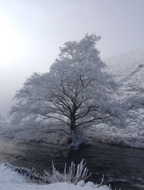 Mr Friendly Happy tweet media