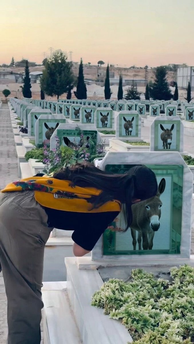 🔴Suriye'deki YPG-SDG mezarlığı sosyal medyada gündem oldu.