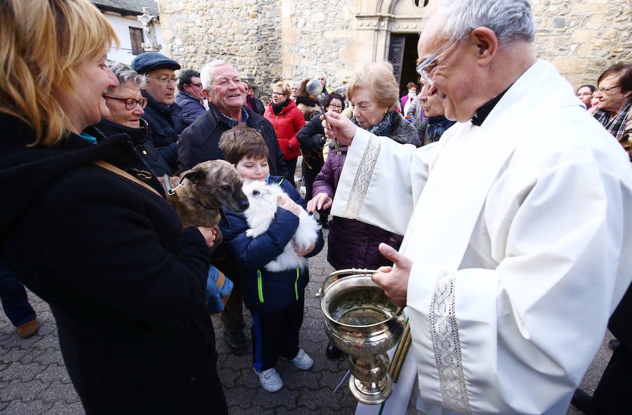 Today is Saint Anthony the Great’s Day, commonly known in Spain as San Antón. Across the country, people bring their animals to be blessed.