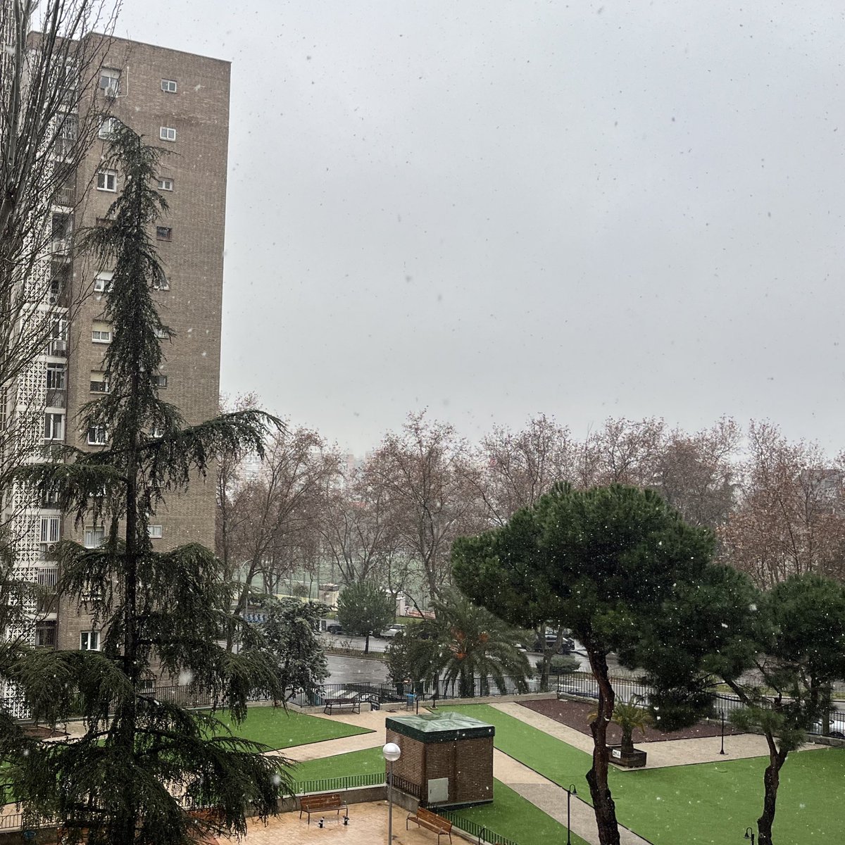 Ahora mismo tenemos 1,8 °C 🌡️ 
Sigue la precipitación en forma de nieve humeda desde hace mas de una hora ❄️
#nieve #madrid